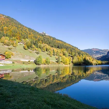 Chalet Rose Et Chardon Morzine